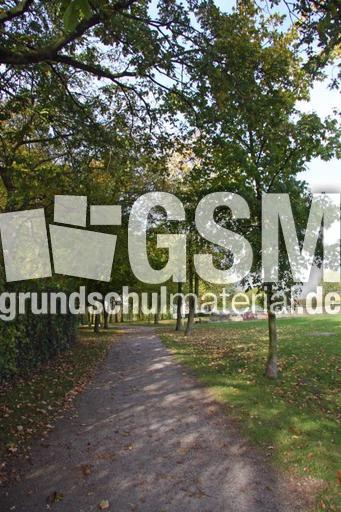 Herbststimmung-10-09 065.jpg